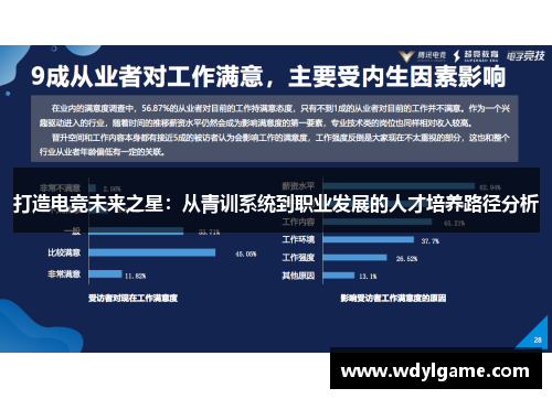 打造电竞未来之星：从青训系统到职业发展的人才培养路径分析