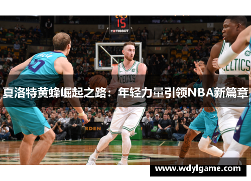 夏洛特黄蜂崛起之路：年轻力量引领NBA新篇章